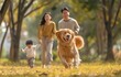 Golden retriever dog having fun in the park with an Asian family