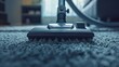 The bristles of a vacuum brush glide over a plush carpet, depicting the daily routine of keeping a clean and tidy home.