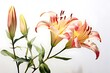 Delicate watercolor painting of a bouquet of colorful flowers. white background
