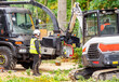 Arborists using wood chipper machines for shredding trees and branches, wearing safety helmet with visor and ear protectors