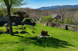 Green meadow with stone houses in an idyllic setting in the mountains of Guadalajara, Spain.