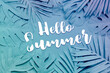Hello Summer text tropical leaf,leaves collection for design with pastel color.creative and minimal art nature