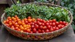 Basket of basil and cherry tomatoes
