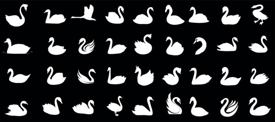 Swan silhouette in diverse poses, white swan vector clipart on black backdrop