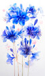 Beautiful blue flowers on a white background. Watercolor illustration.