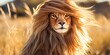 a lion with long hair