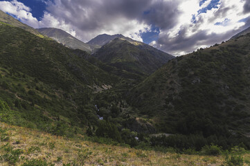 Wall Mural - landscape with a view of a green gorge with a river in the mountains with a cloudy sky