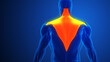 Trapezius Muscle Pain with blue background
