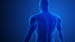 Trapezius Muscle Pain with blue background