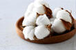 Cotton harvest in a wooden bowl on white background
