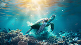 Fototapeta  - A turtle is stuck in plastic underwater. against the backdrop of a coral reef and sunlight illuminating the water. The sea creature is depicted in its natural habitat 