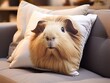 a small pillow with a print of your favorite hamster