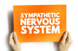 Sympathetic Nervous System - network of nerves that helps your body activate its “fight-or-flight” response, text concept on card