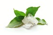 © Denis - camphor for aroma therapy on aroma lamp for cosmetics, spa, health, nature concept
