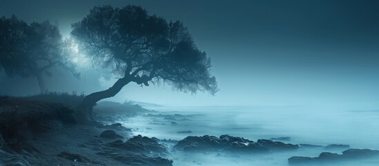 Wall Mural - Tendrils of mist begin to rise from the sea, adding an air of mystery and magic to the nocturnal scene. 