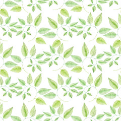 Hand drawn watercolor green twig seamless pattern isolated on white background. Can be used for textile, fabric and other printed products.