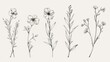 Wildflowers in a minimalist tattoo design with a white backdrop and various perspectives in the vein of various artists.