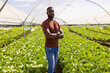 © Wavebreak Media - African American young male farmer standing with arms crossed in a greenhouse hydroponic farm