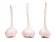 Three garlic bulbs, white background, isolated