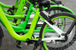A row of green and white bicycles are parked next to each other