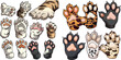 Cats palms. Cat paws with claws, cartoon pets paws-up cute furry kittens hands, drawing kitty hunter