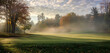 Morning fog weaving through the trees, adding mystique to the golf course.