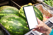 Watermelon in hand and smartphone isolated white