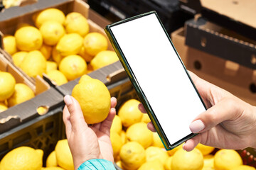 Wall Mural - Lemon in hand and smartphone isolated white