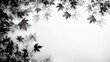 Falling leaves silhouette on a crisp autumn gradient, black and white