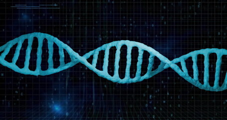 Poster - Image of data processing over dna strand on black background