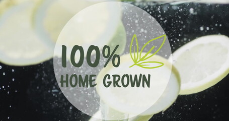 Wall Mural - Image of 100 percent home grown text over fruit falling in water background
