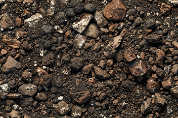 Wall Mural - rocky soil ground texture