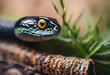 Vivid Gaze - Grass Snake Poised on a Branch with Striking Eye Detail in Natural Surroundings