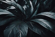 © DesignByGade - Dark Green Foliage Close-Up - Moody Botanical Textures