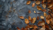 Autumn leaves on black slate background