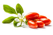 Fresh red goji berries  with leaves isolated on a light background.