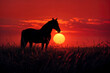 a black horse standing in the grass at sunset on a windy day