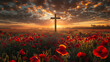 The cross in the midst. Field of red poppies at sunrise