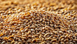 Barley malt close-up. Generative AI