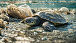 Environmental pollution. Sea turtle crawls ashore. Generative AI