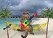 Cat plays the guitar in hammock on seashore