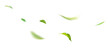 © escapejaja - Green Floating Leaves Flying Leaves Green Leaf Dancing, Air Purifier Atmosphere Simple Main Picture.