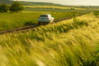 hilly field with green wheat and a car is driving along a dirt road among the fields. soft evening sunlight
