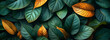 Background of fresh green tropical leaves.