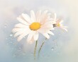 Vibrant Daisy Bloom with Dew Drops in Hyper Panoramic