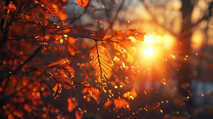 Wall Mural - Winter evening sun with beautiful orange sunlight. Light reflects off the leaves, creating a black reflection.