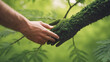 Film grain effect, hand of man together with mossy green hand of the forest,