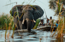 A Group Of People In Canoes On The Chutedi Motor Boat, Watching An Elephant Wade Through Water With Its Trunk Raised Above Its Head And Legs Up To Cross Over It.