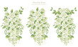 白い薔薇と植物のブーケのイラストセット
