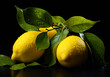 Lemons illuminated by soft studio lighting on a dark background